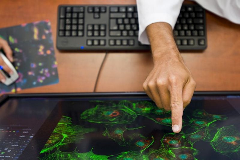 Le CIUSSS de l’Estrie – CHUS parmi les meilleurs hôpitaux de recherche au Canada